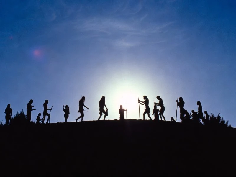 Os instrumentos que se seguiram